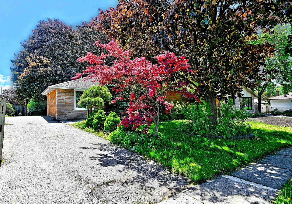 6-raylawn-crescent-halton-hills-ontario-w13414340
