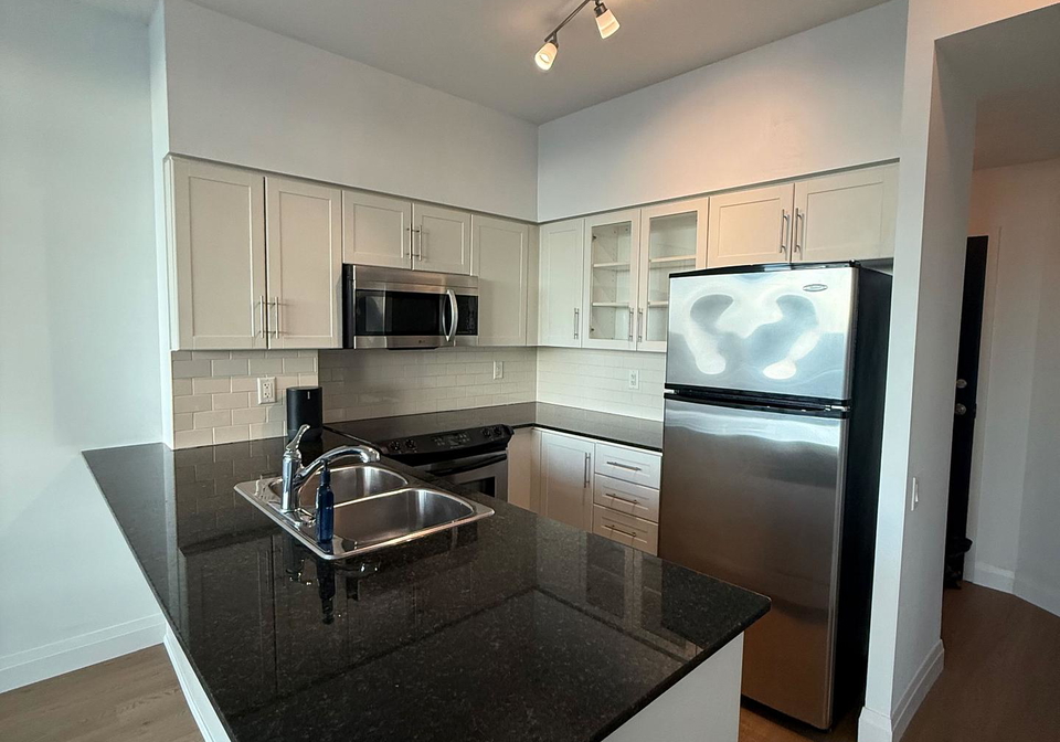15-windermere-avenue-toronto-ontario-w13420436
