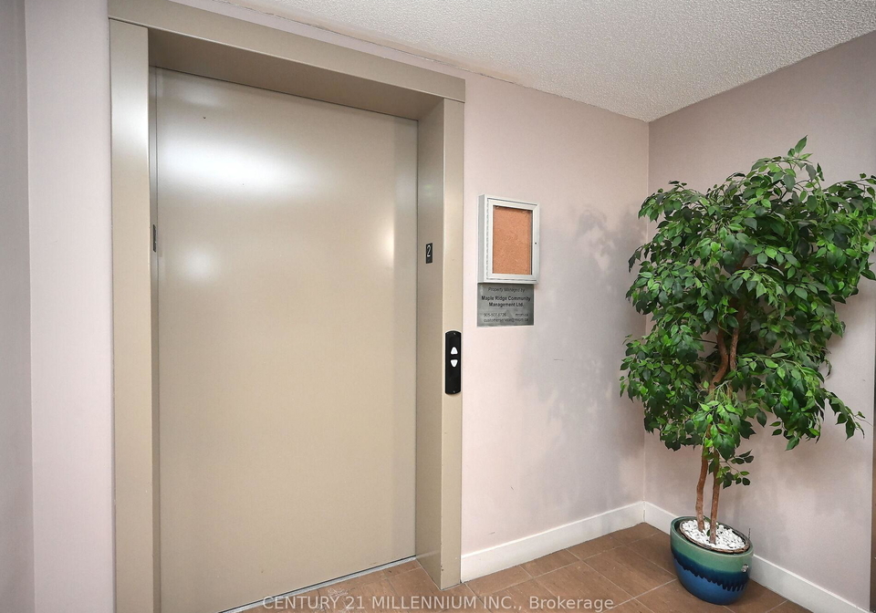 8-dayspring-circle-brampton-ontario-w13427168