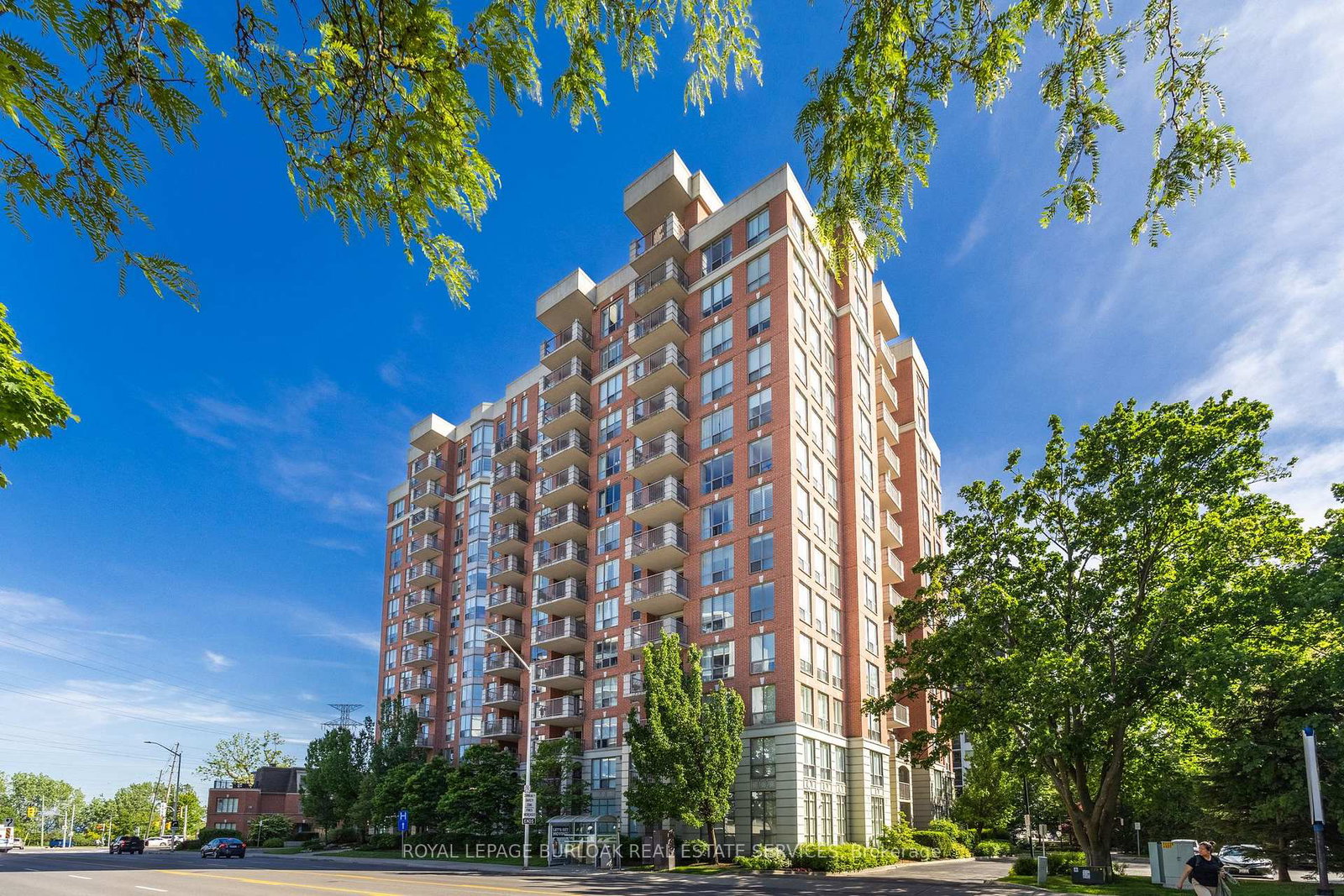 442-maple-avenue-burlington-ontario-w13431276