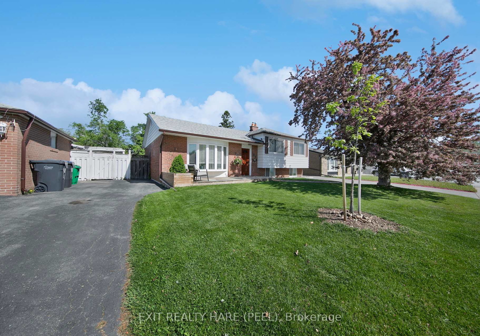 84-addington-crescent-brampton-ontario-w13432312