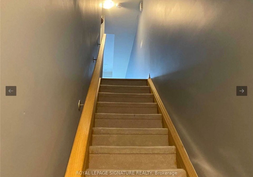 161-william-duncan-road-york-ontario-w13437566