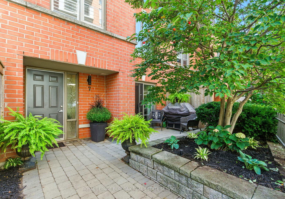 442-maple-avenue-burlington-ontario-w13441330