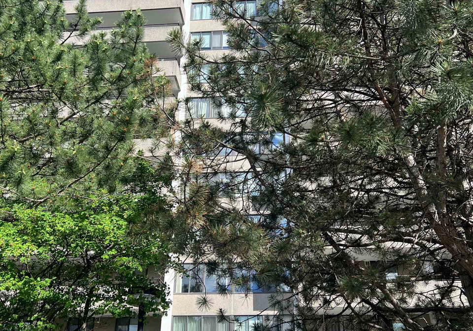 1300-mississauga-valley-boulevard-mississauga-ontario-w13451344