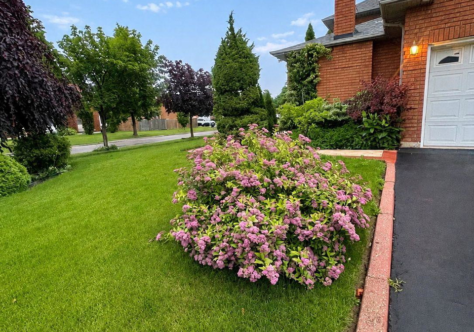 961-stargazer-drive-mississauga-ontario-w13469282