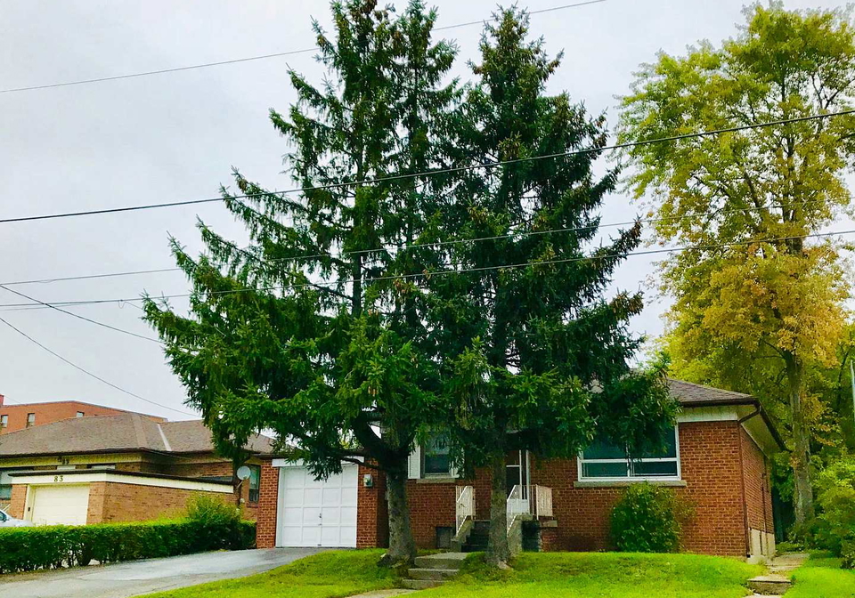 81-claver-avenue-north-york-ontario-w13472706