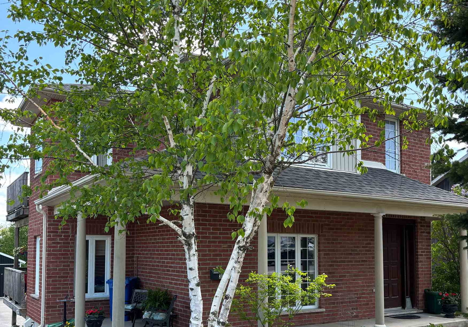 300-a-broadway-orangeville-ontario-w13473022