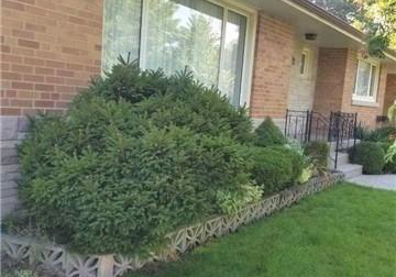 216-wales-crescent-oakville-ontario-w13474282