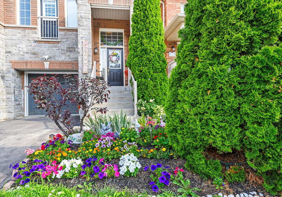 38-betty-nagle-street-york-ontario-w13477448