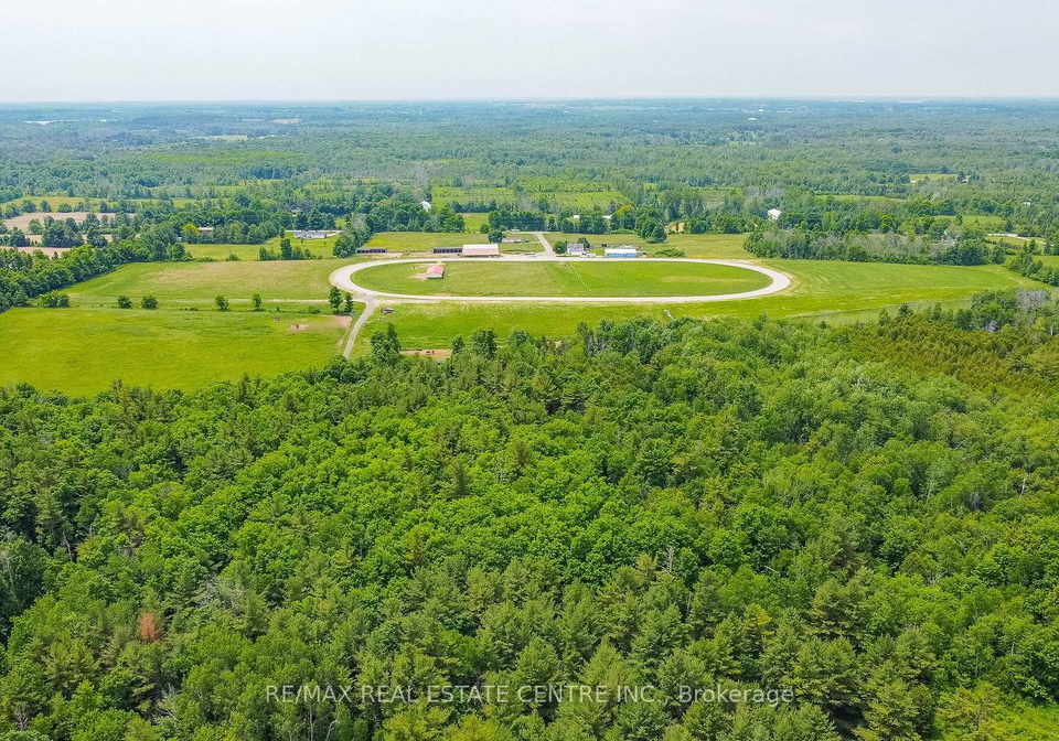 10253-2nd-line-milton-ontario-w13479372