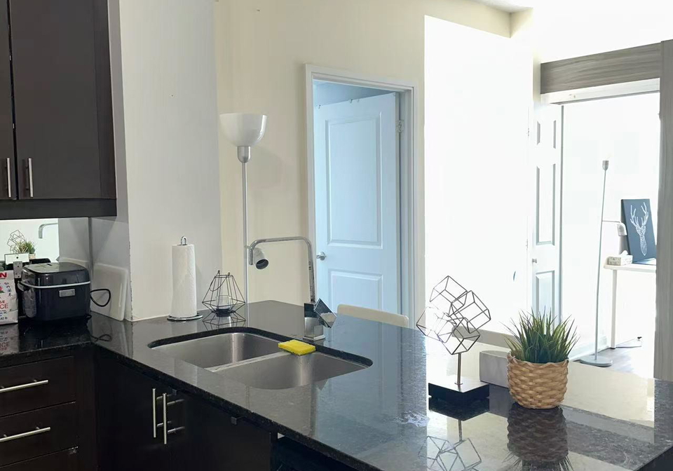 60-absolute-avenue-mississauga-ontario-w13482094
