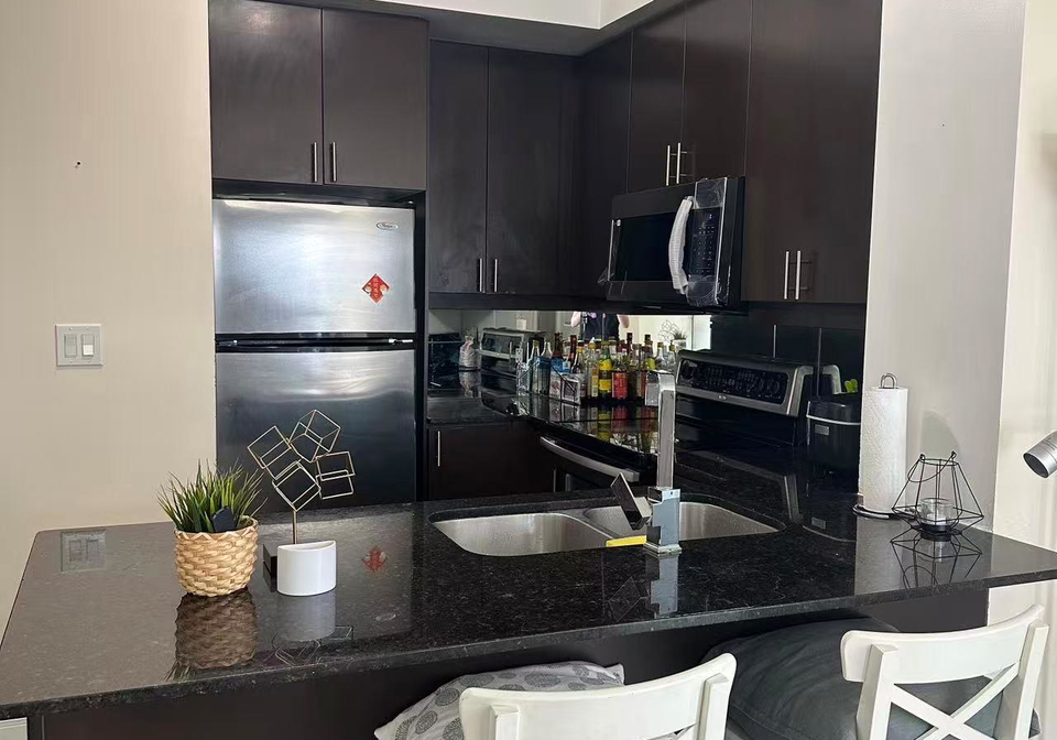 60-absolute-avenue-mississauga-ontario-w13482094