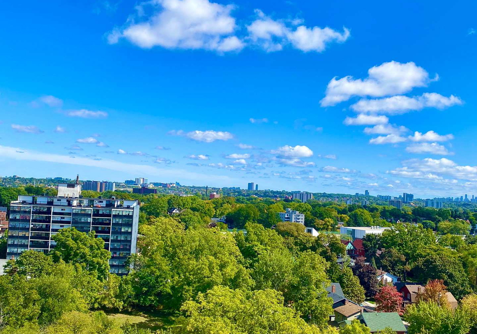 2130-weston-road-north-york-ontario-w13485484