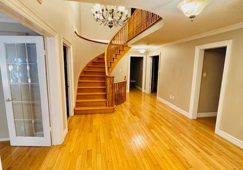 4562-penhallow-road-mississauga-ontario-w13486084