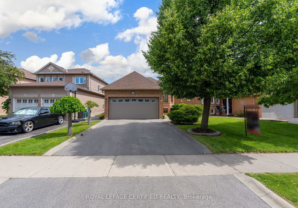 45-springview-drive-brampton-ontario-w13503536