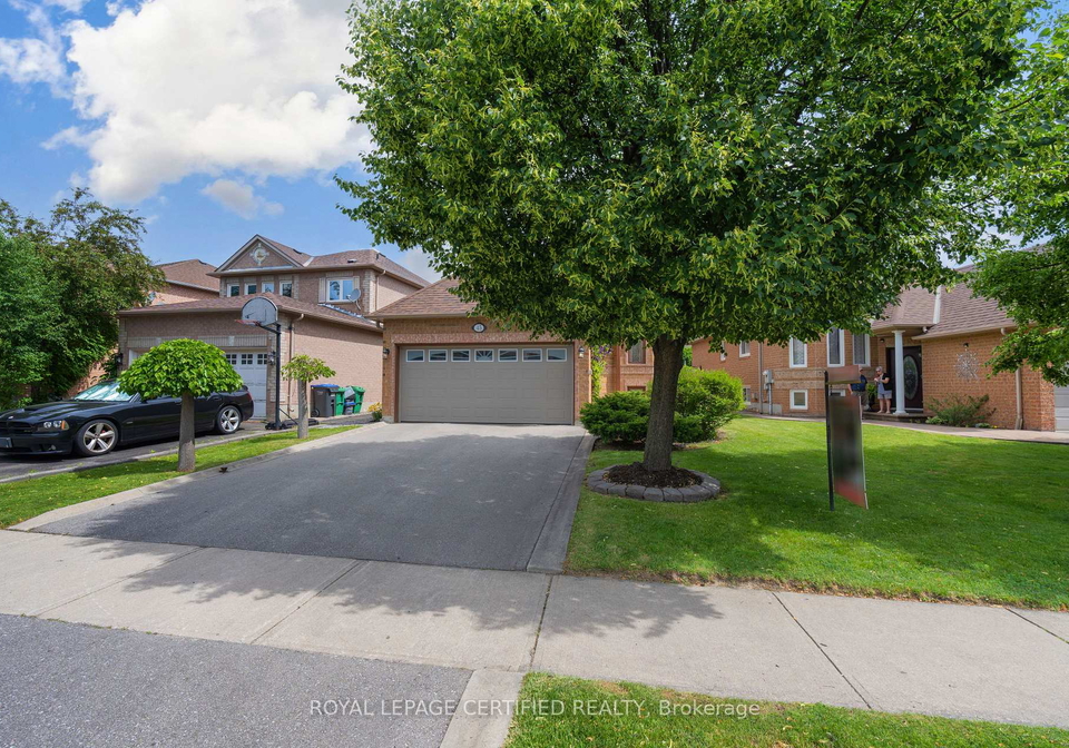 45-springview-drive-brampton-ontario-w13503536