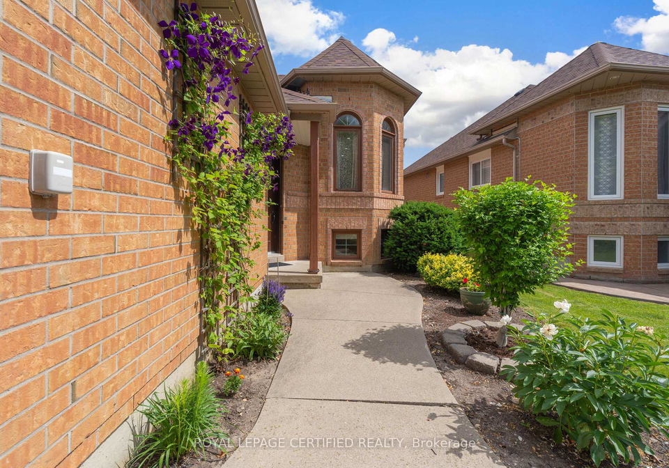 45-springview-drive-brampton-ontario-w13503536