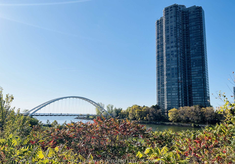 1-palace-pier-court-toronto-etobicoke-ontario-w13504310