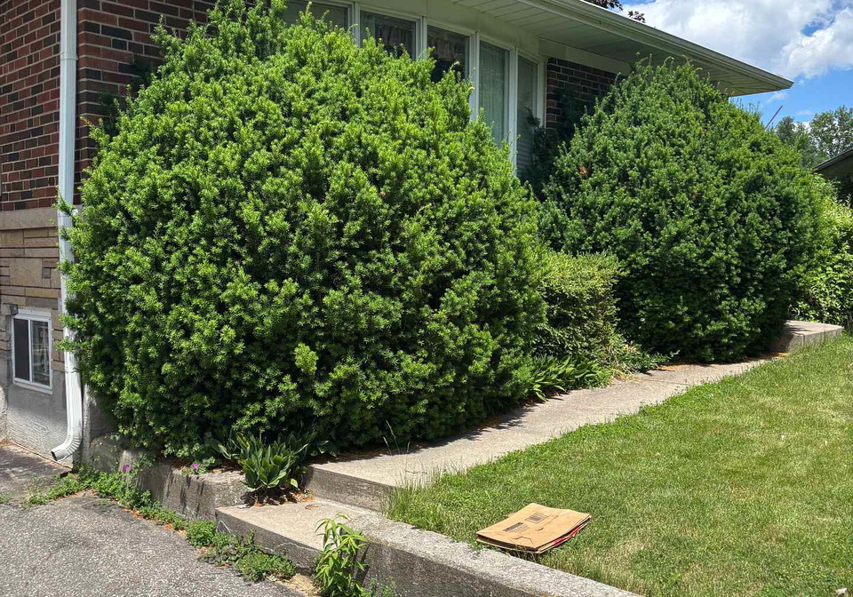 4-winesap-place-toronto-etobicoke-ontario-w13512894