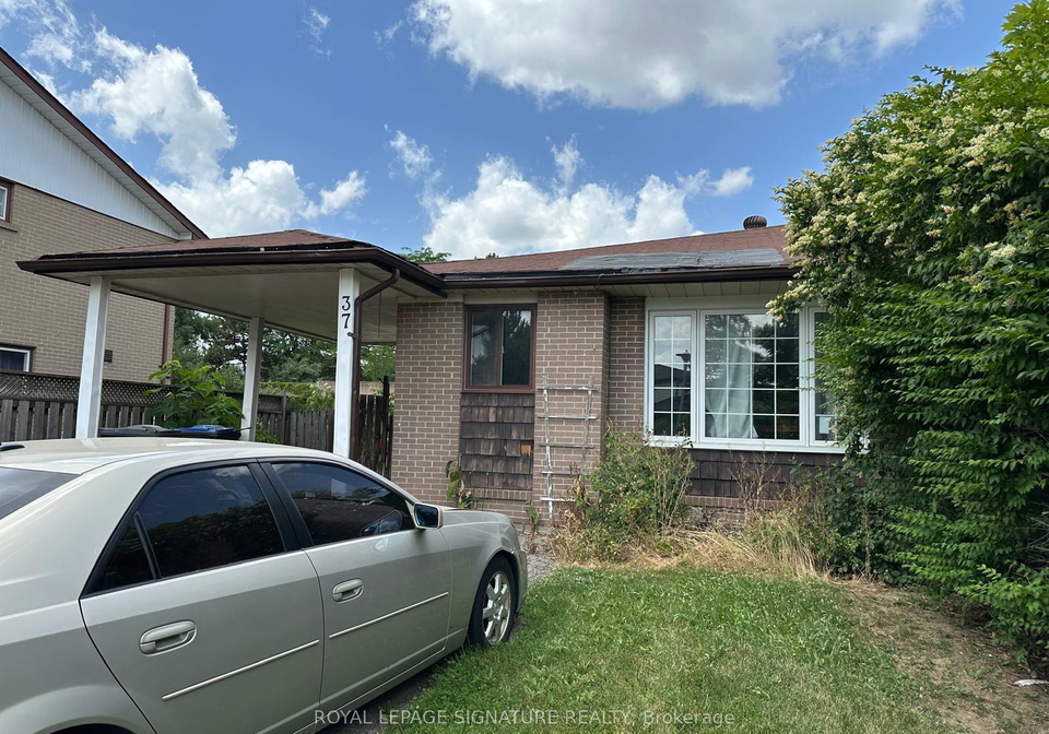 37-flamingo-crescent-brampton-ontario-w13517368