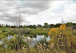 132-calm-waters-crescent-brampton-ontario-w13532218