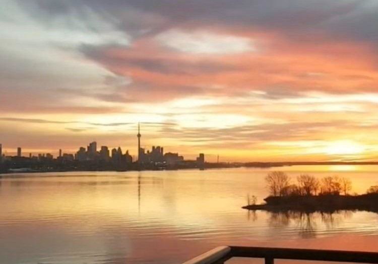 59-annie-craig-drive-toronto-etobicoke-ontario-w13538592