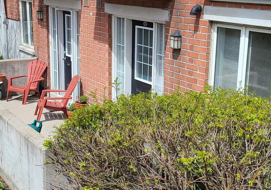 10-laidlaw-street-toronto-toronto-ontario-w13539740