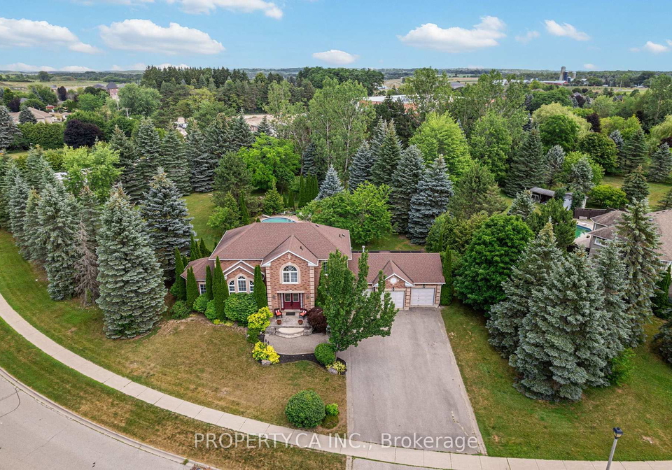 19-jean-street-caledon-ontario-w13548102