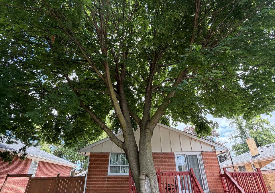 34-ludgate-drive-toronto-etobicoke-ontario-w13549608