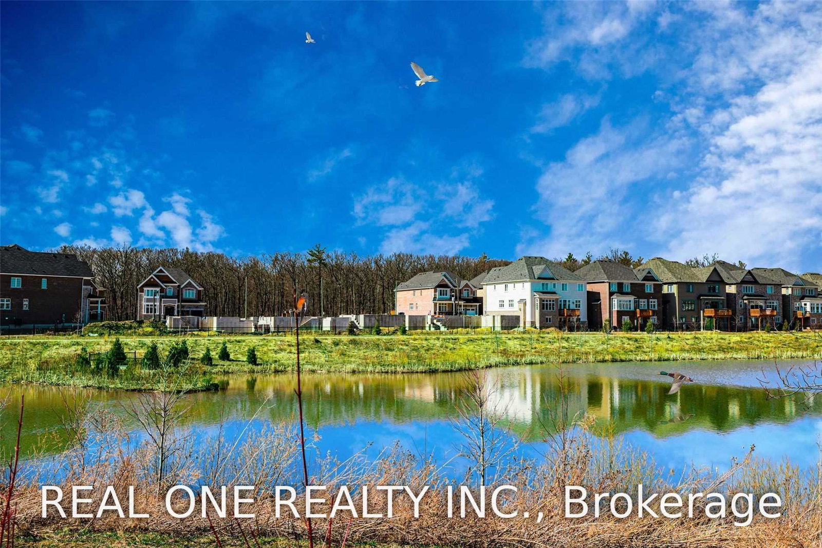 3306-charles-biggar-drive-oakville-ontario-w13554278