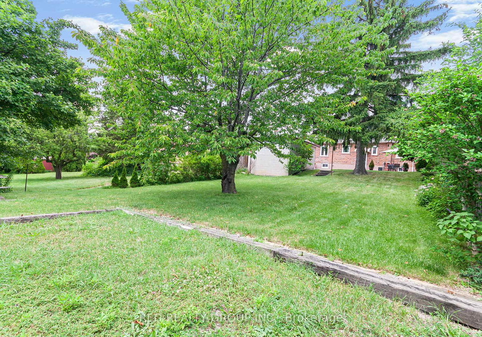 281-falstaff-avenue-toronto-north-york-ontario-w13555160