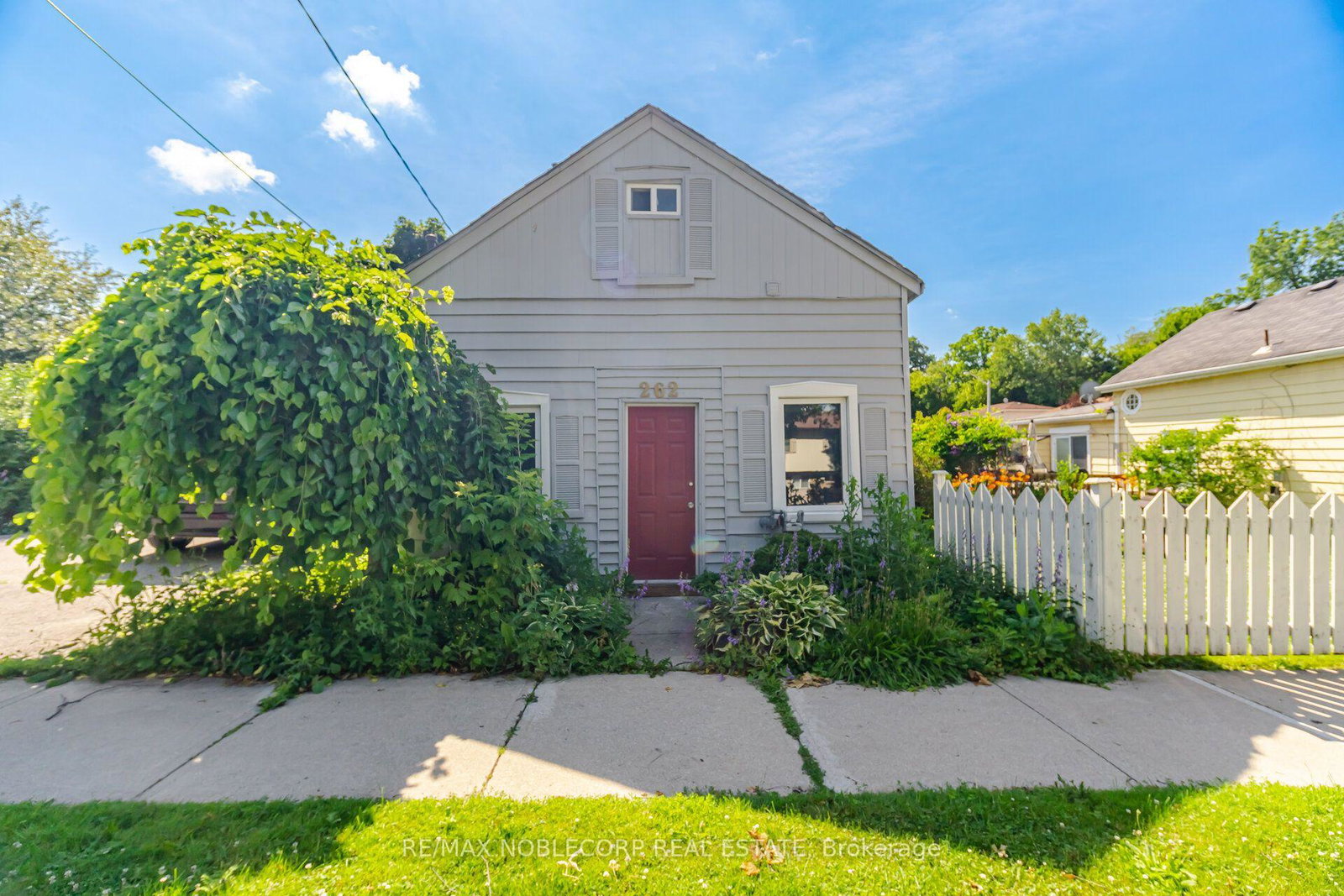 262-pine-street-milton-ontario-w13558994