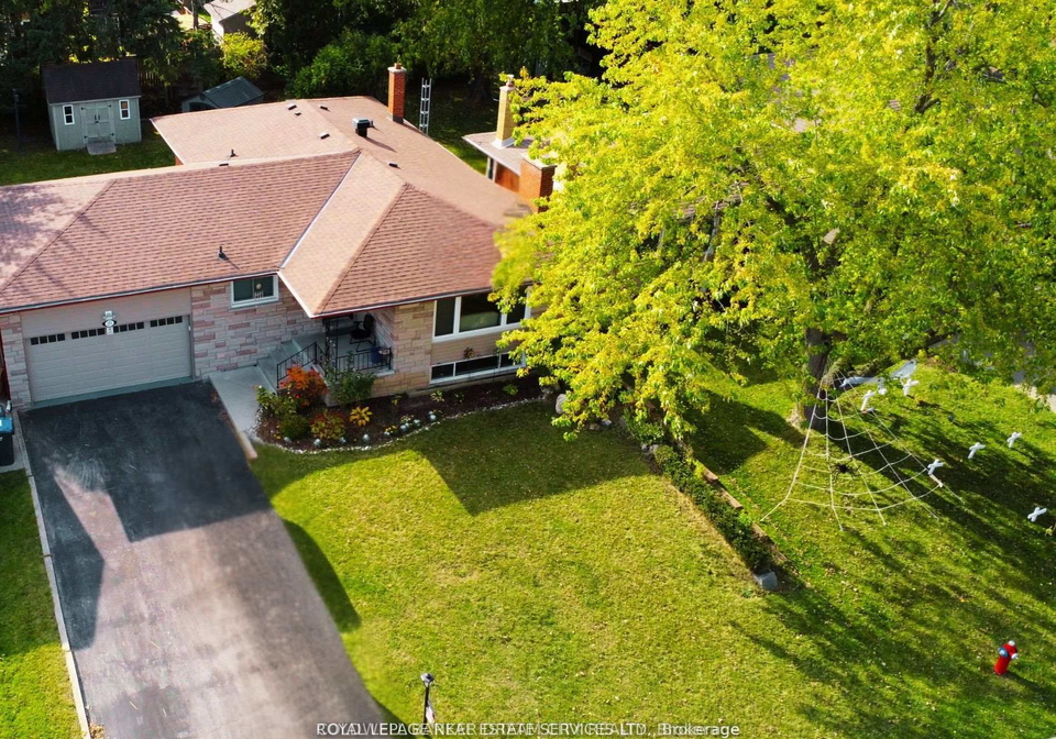 231-elizabeth-street-s-brampton-ontario-w13565310