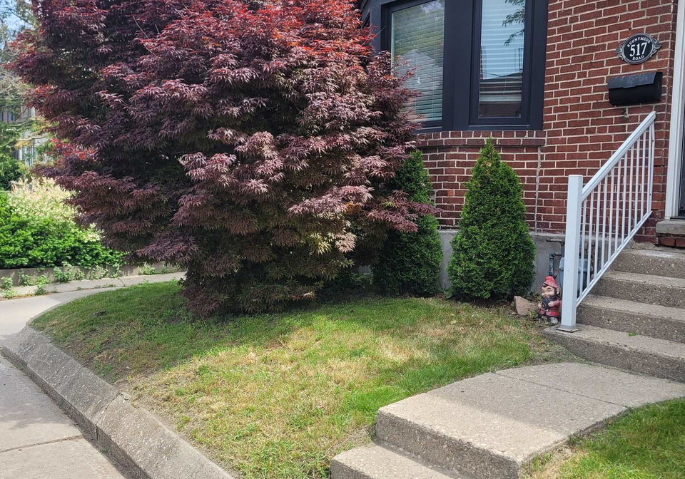517-runnymede-street-toronto-toronto-ontario-w13574844