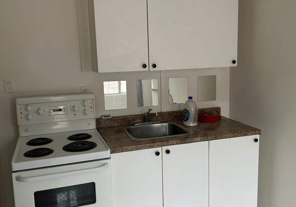 2-elm-grove-avenue-toronto-toronto-ontario-w13580452