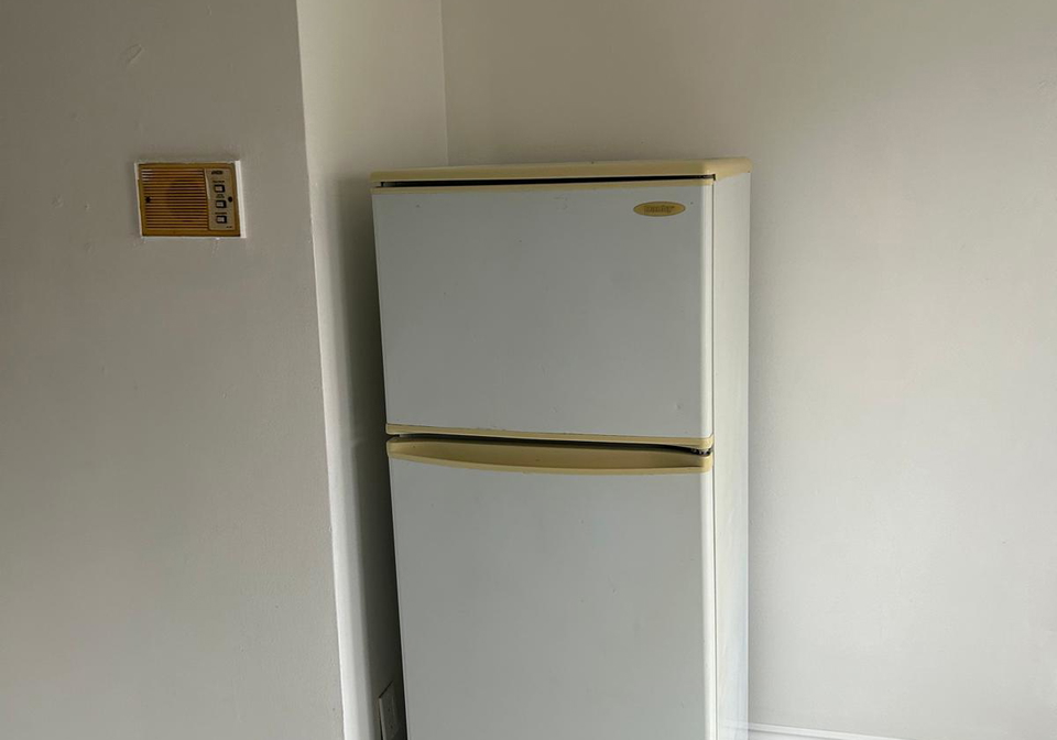 2-elm-grove-avenue-toronto-toronto-ontario-w13580452