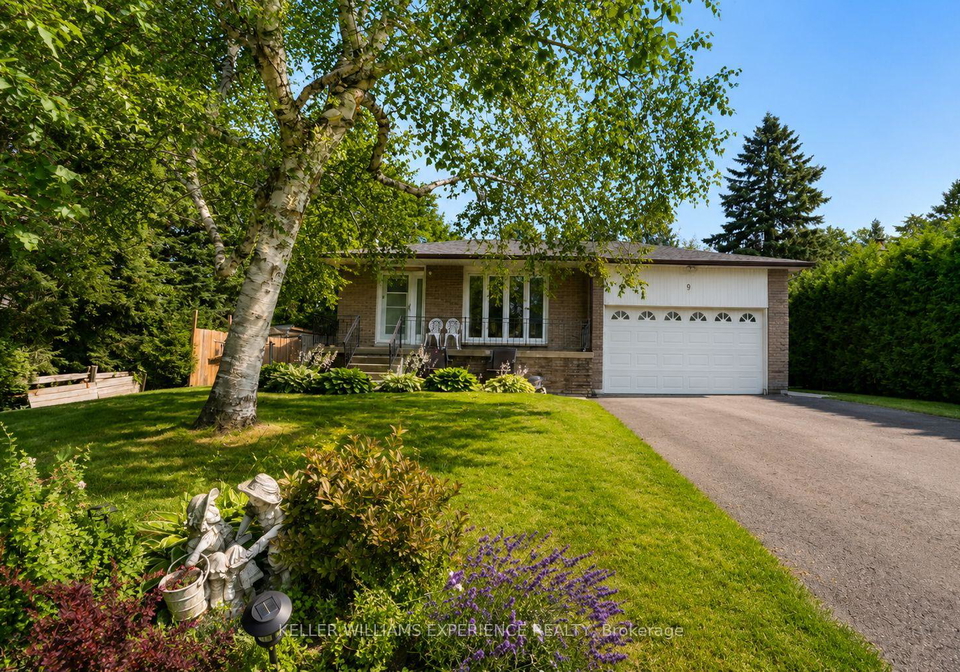 9-palace-street-caledon-ontario-w13582522