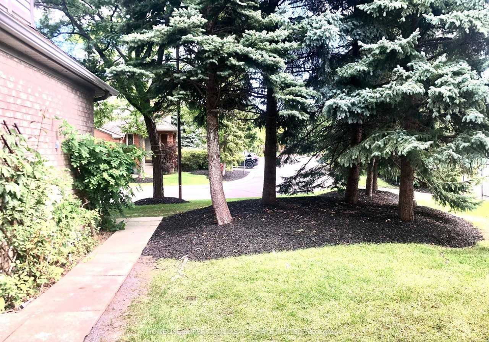 2555-thomas-street-mississauga-ontario-w13583220