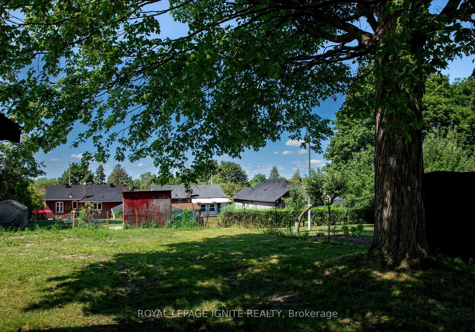 38-parent-avenue-toronto-york-ontario-w13584634