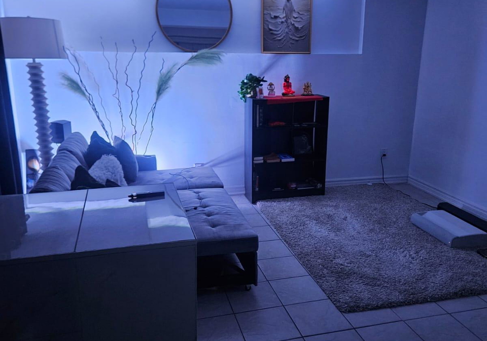 43-blossom-avenue-w-brampton-ontario-w13584666