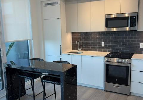 285-dufferin-street-toronto-toronto-ontario-w13612344