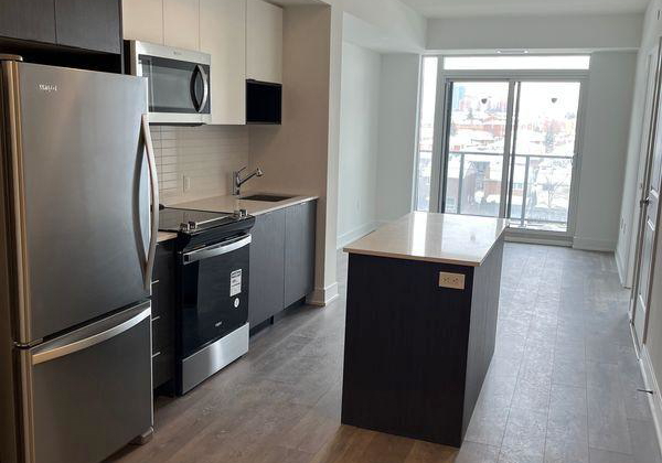 202-burhamthorpe-road-e-mississauga-ontario-w13612420