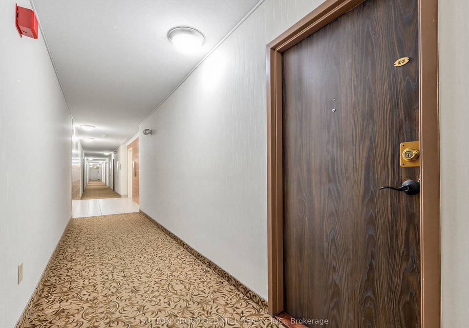455-sentinel-road-toronto-york-ontario-w13618502