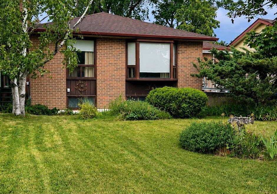 79-dorset-drive-brampton-ontario-w13621088