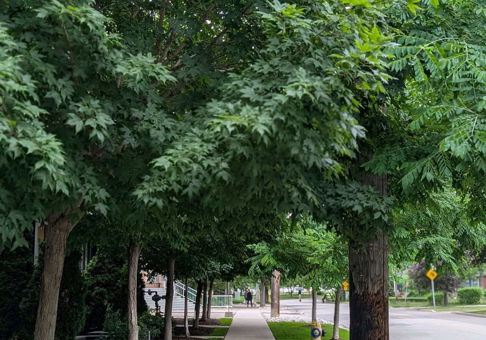 8-fieldway-road-toronto-etobicoke-ontario-w13624946