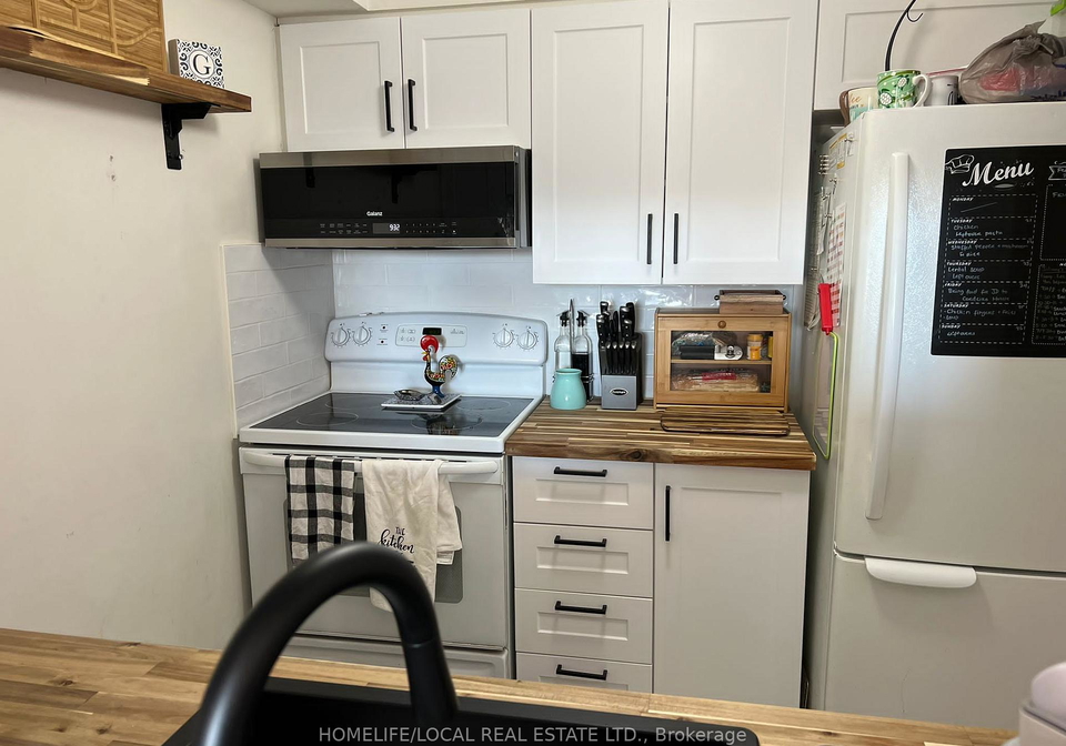 3-hickory-tree-road-toronto-north-york-ontario-w13633652