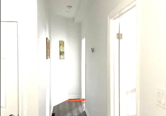 81-hallam-street-toronto-toronto-ontario-w13642614