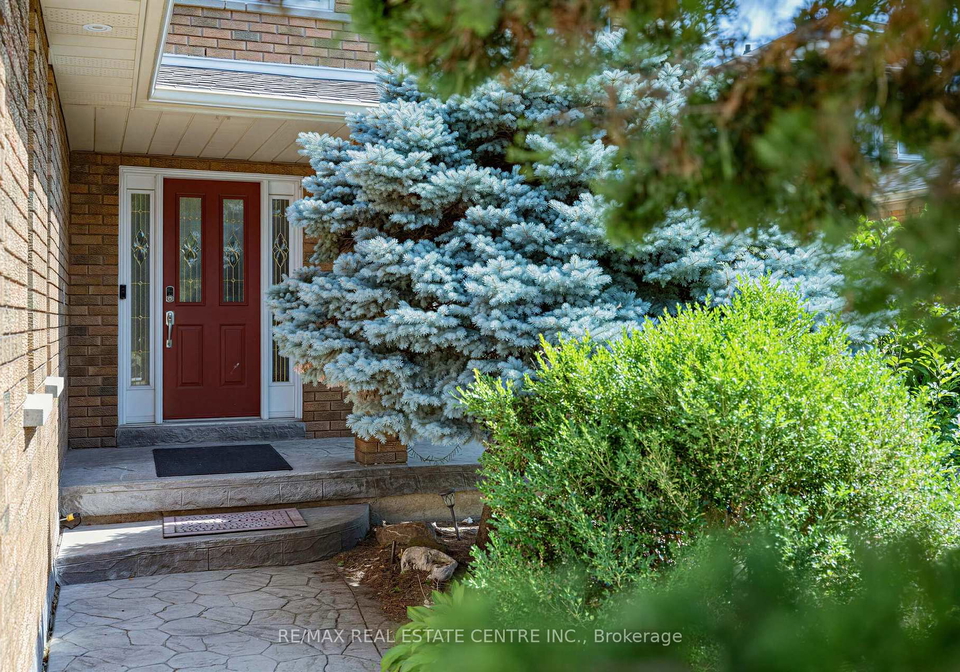 10-diane-court-brampton-ontario-w13649326