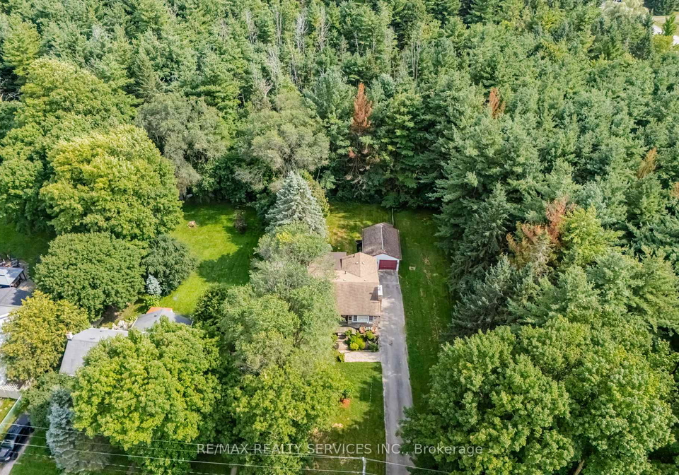 43-maple-avenue-caledon-ontario-w13658524