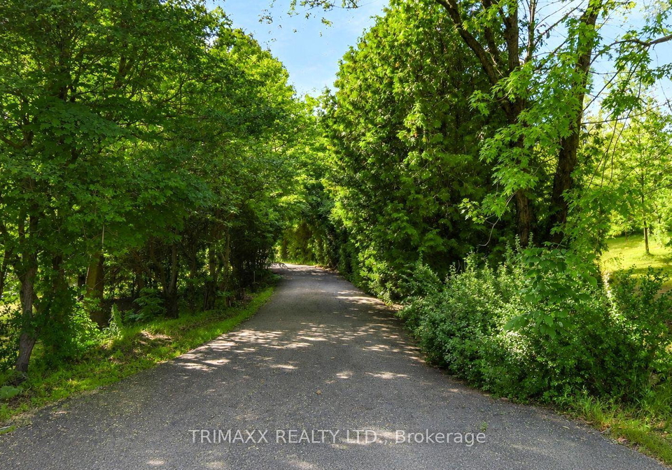 4069-charleston-side-road-caledon-ontario-w13668268